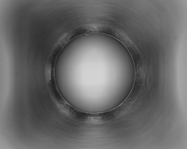 X0000113580694200909181307