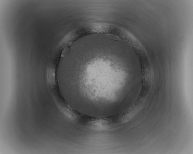 X0000113580696200909181307