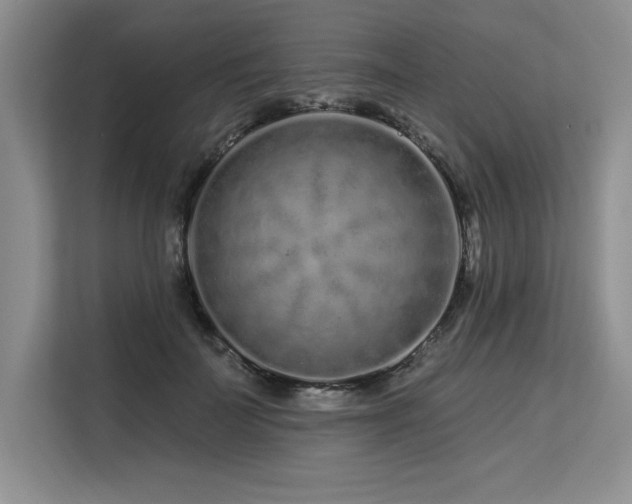 X0000113580699200909181307