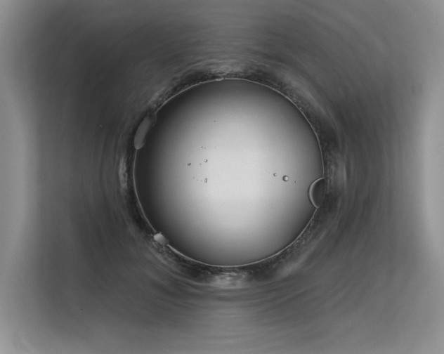 X0000113580700200909181307