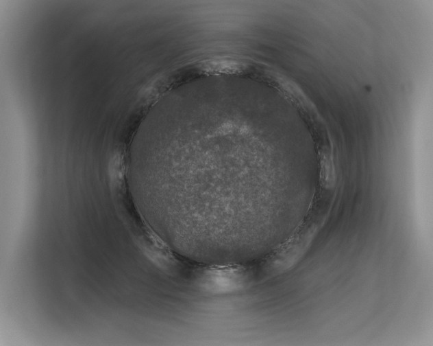 X0000113580701200909181307