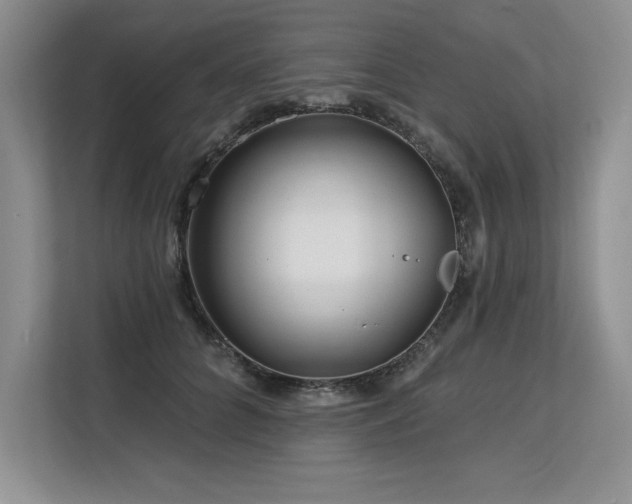 X0000113580704200909181307