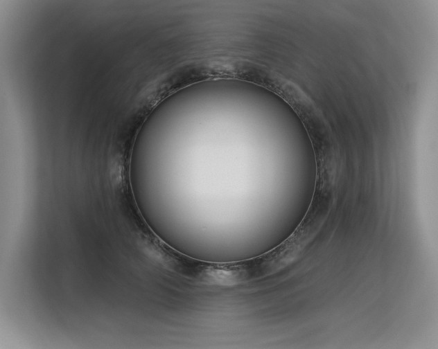 X0000113580706200909181307