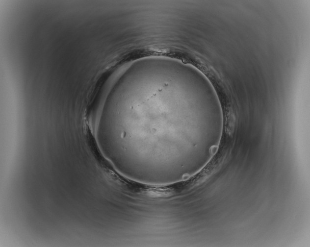 X0000113580707200909181307