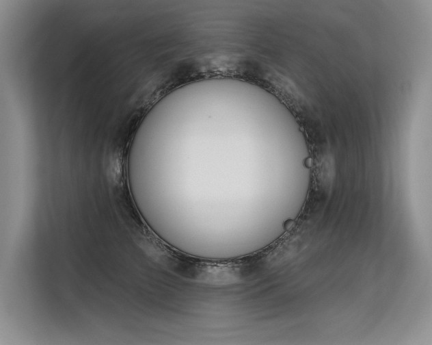 X0000113580709200909181307