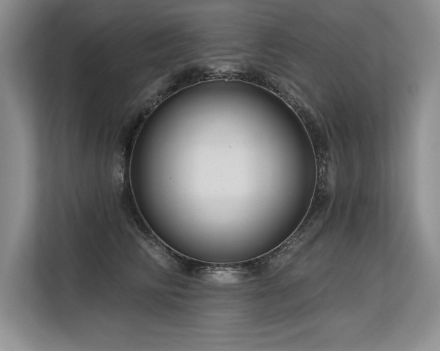X0000113580710200909181307