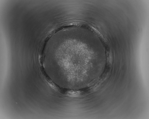 X0000113580712200909181307
