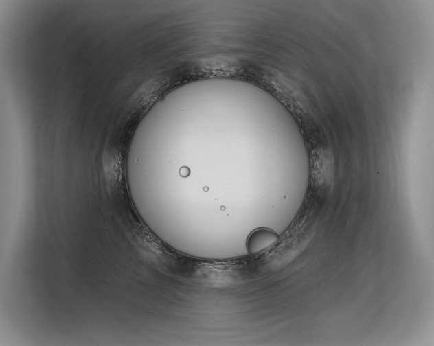 X0000113580713200909181307