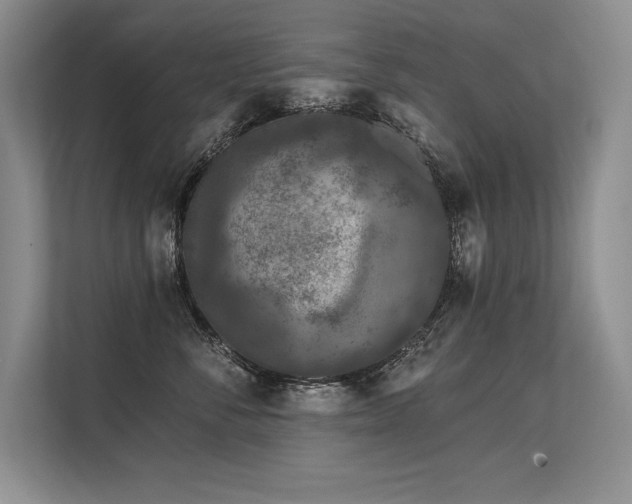 X0000113580716200909181307