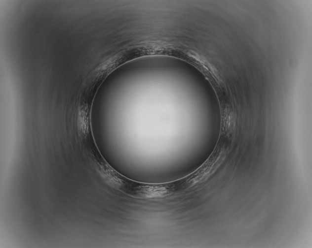 X0000113580719200909181307
