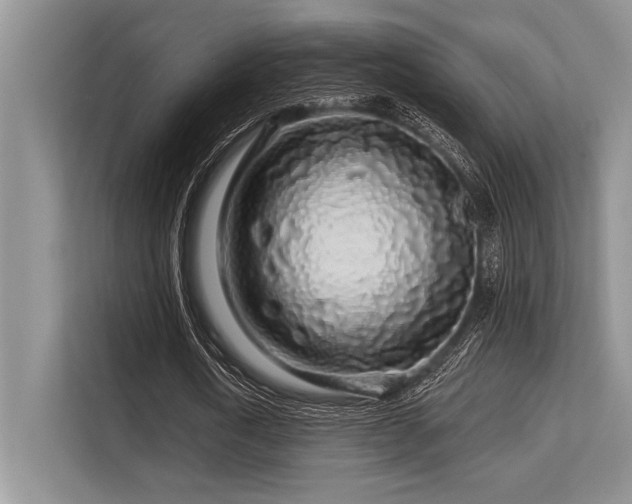 X0000113580722200909181306