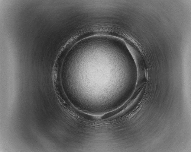 X0000113580723200909181306