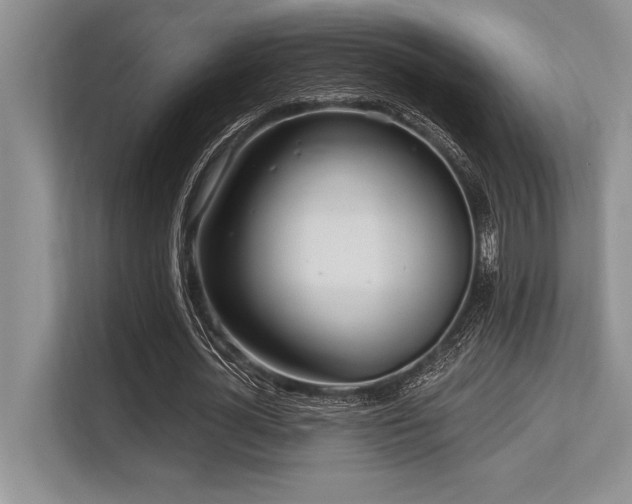 X0000113580724200909181306