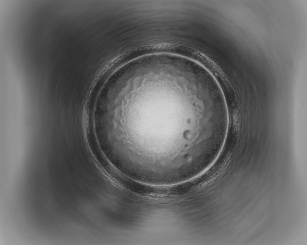 X0000113580725200909181306