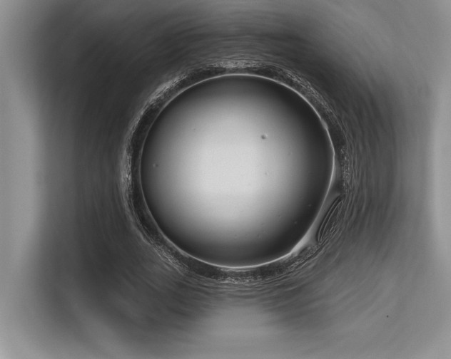 X0000113580727200909181306