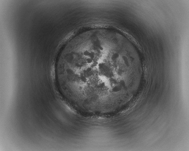 X0000113580729200909181306