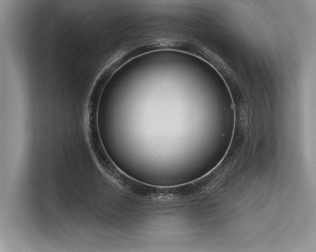 X0000113580730200909181306