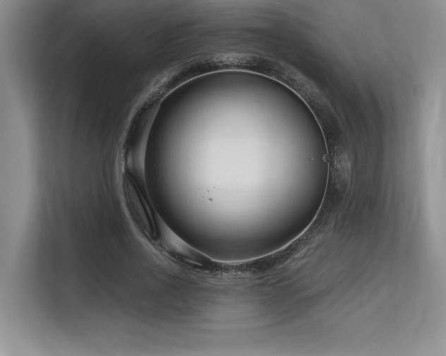 X0000113580734200909181307