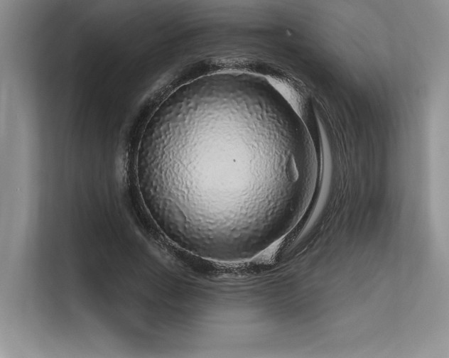 X0000113580735200909181307