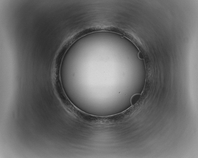 X0000113580736200909181307