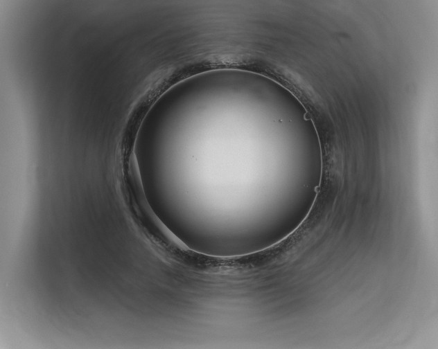 X0000113580738200909181307