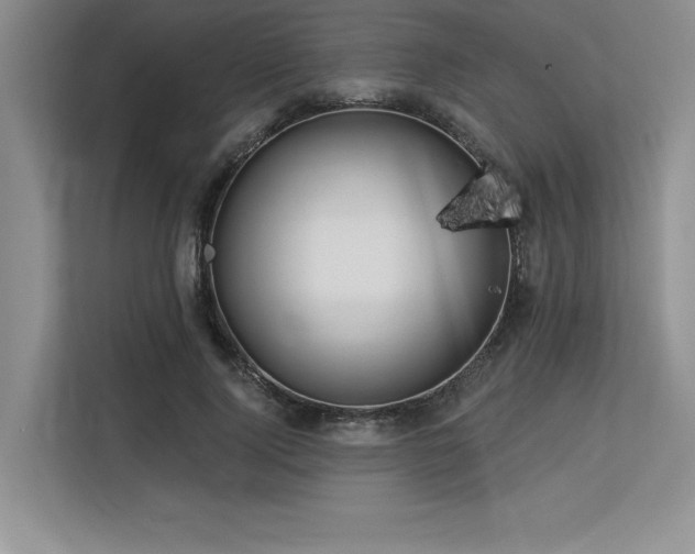 X0000113580740200909181307