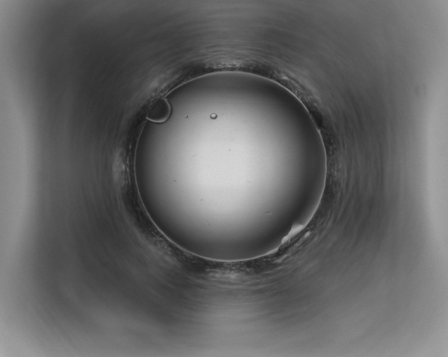 X0000113580743200909181307