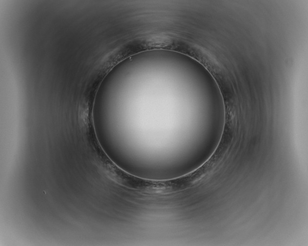 X0000113580745200909181307