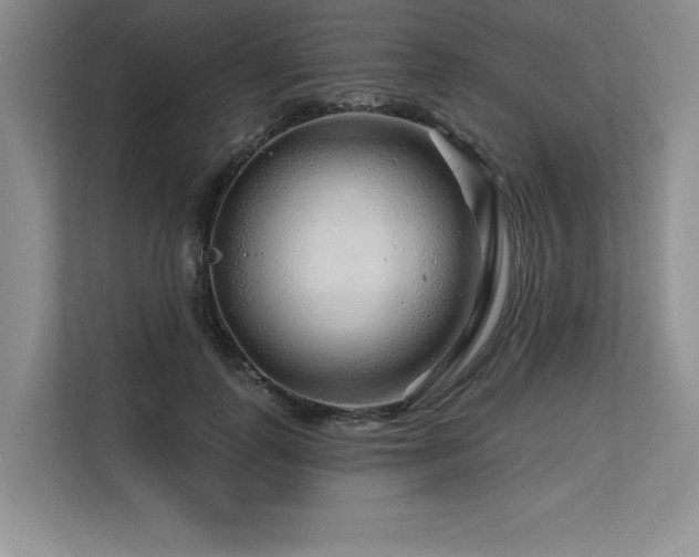 X0000113580747200909181307