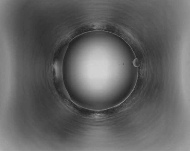 X0000113580748200909181307