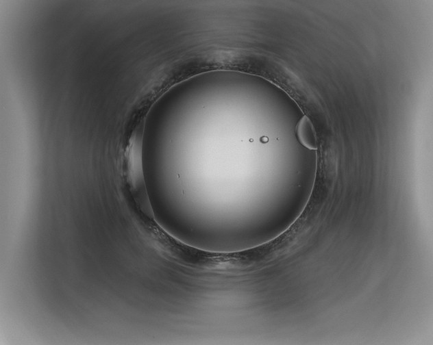 X0000113580750200909181307