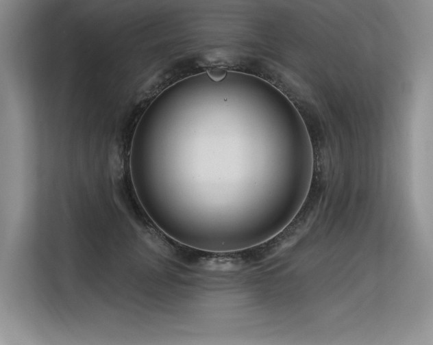 X0000113580751200909181307