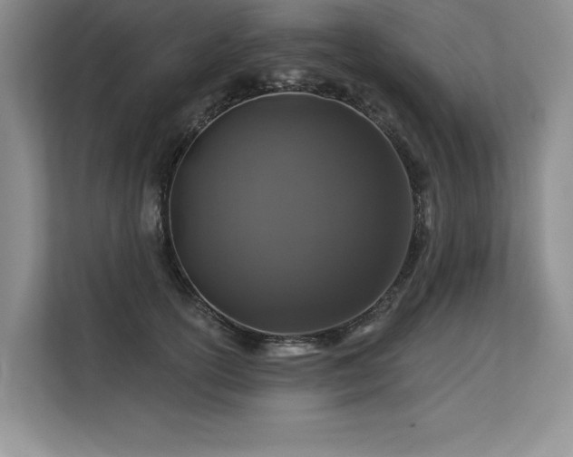 X0000113580754200909181307