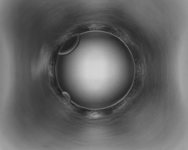 X0000113580755200909181307