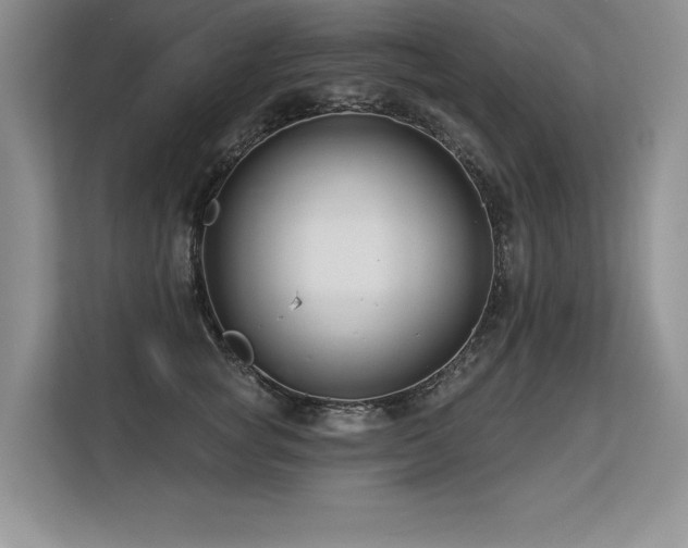 X0000113580757200909181307