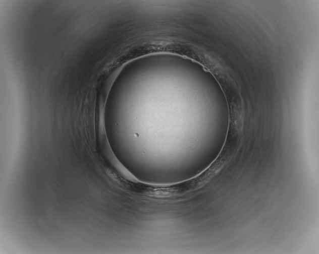 X0000113580758200909181307