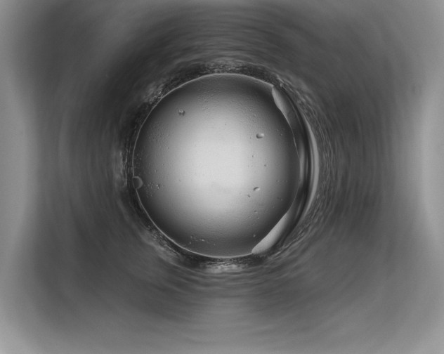 X0000113580759200909181307