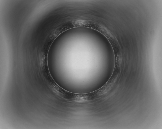 X0000113580760200909181307