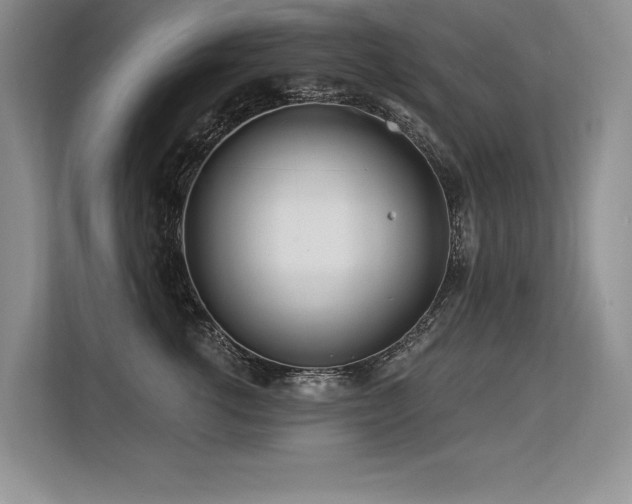 X0000113580762200909181307