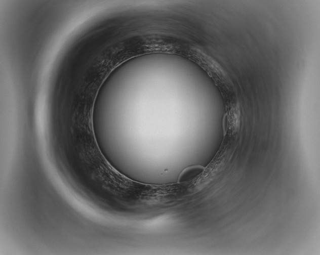 X0000113580764200909181307