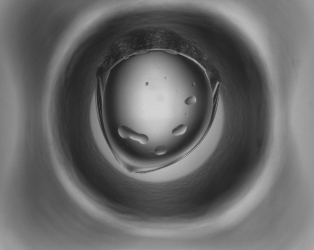 X0000113580766200909181307
