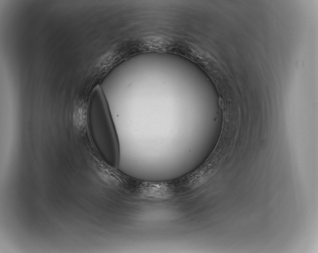 X0000113580768200909181307