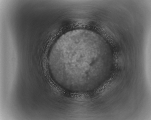 X0000113580769200909181306
