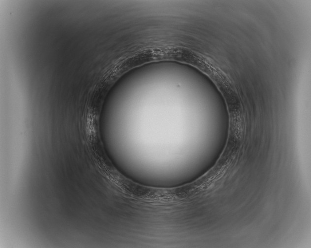 X0000113580770200909181306