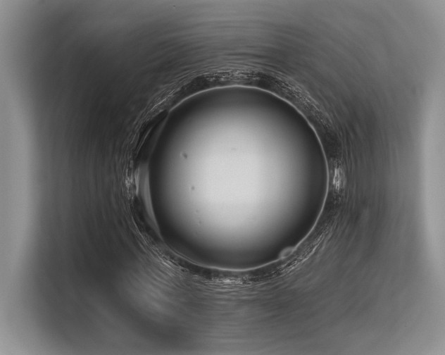 X0000113580771200909181306