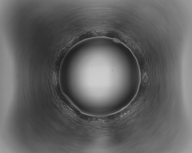 X0000113580772200909181306