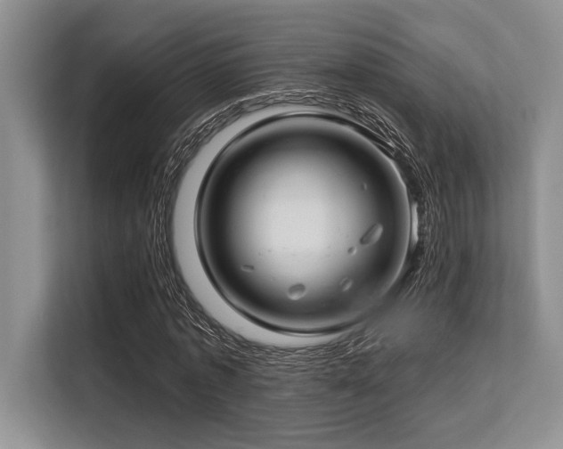 X0000113580773200909181306