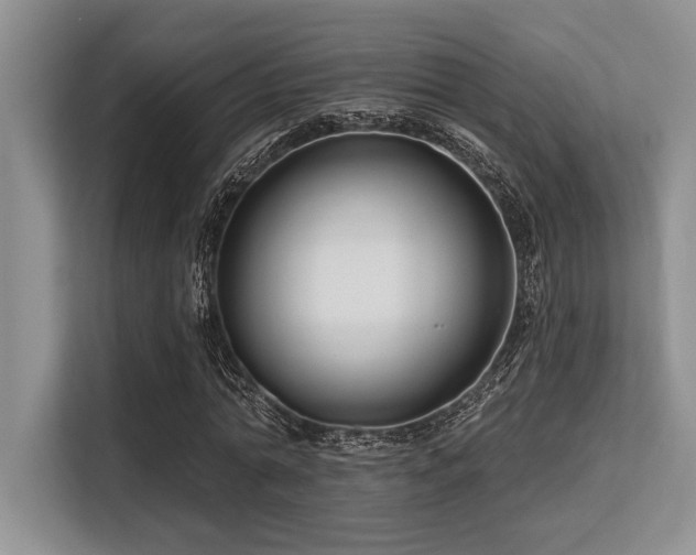 X0000113580774200909181306