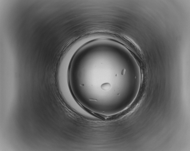 X0000113580777200909181306