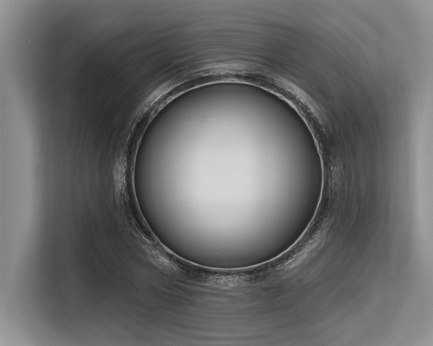 X0000113580778200909181306